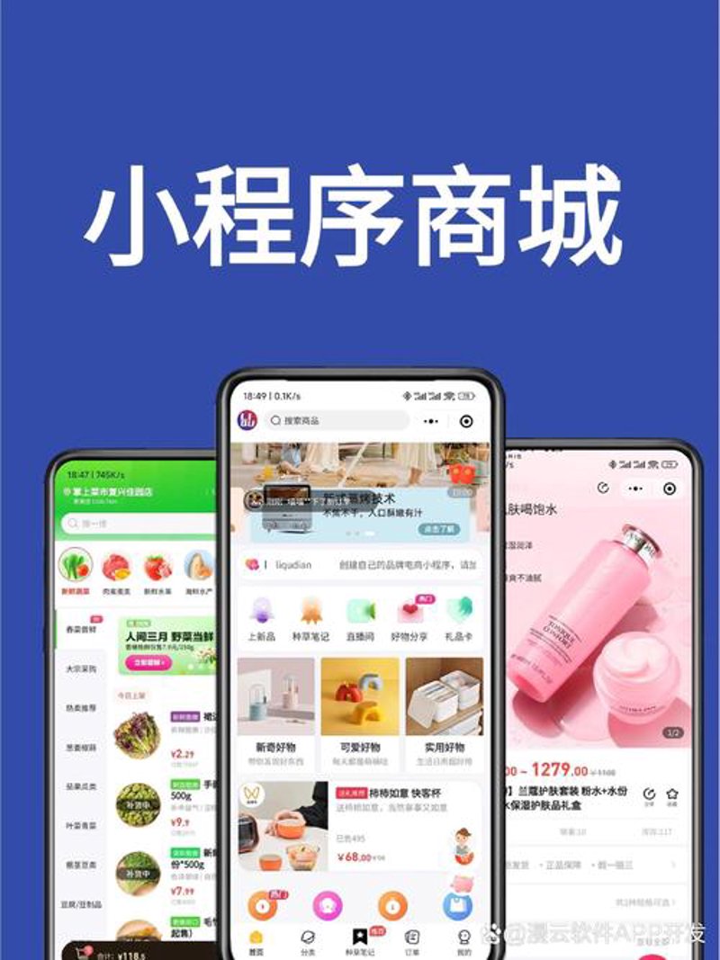 小程序开发：构建指尖上的便捷生活